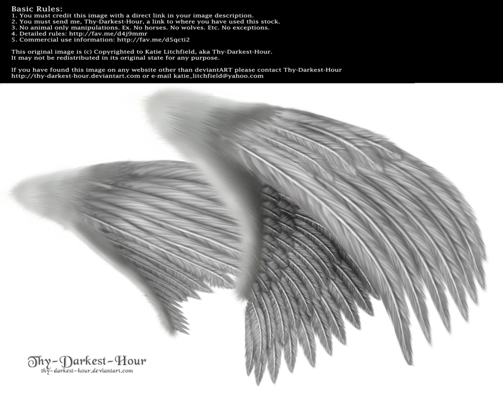 Realistic Angel Wings Side View