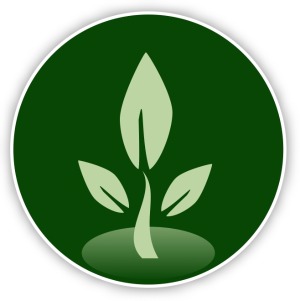 Seeds Planting Icons
