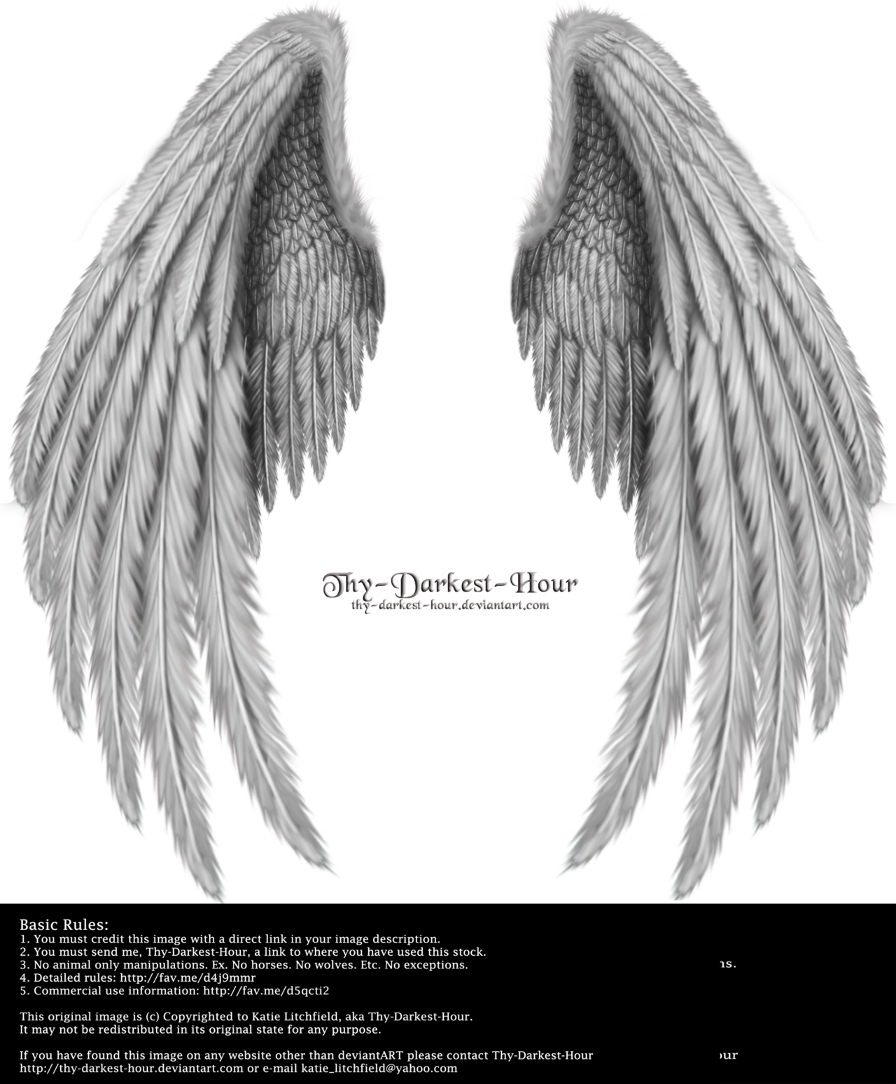 Silver Angel Wings Realistic