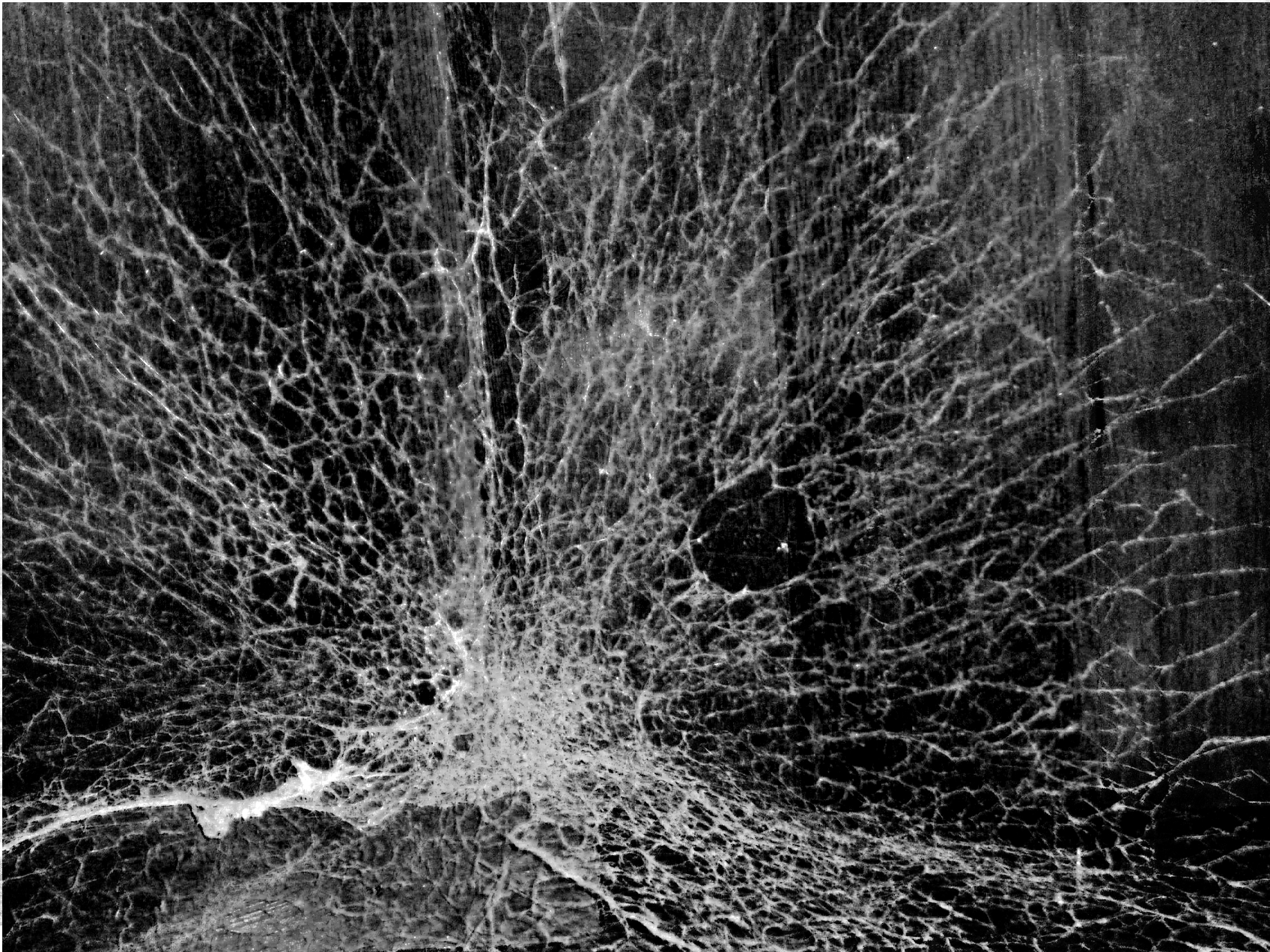 Spider Web Overlay Photoshop Spider Web Overlay Photoshop