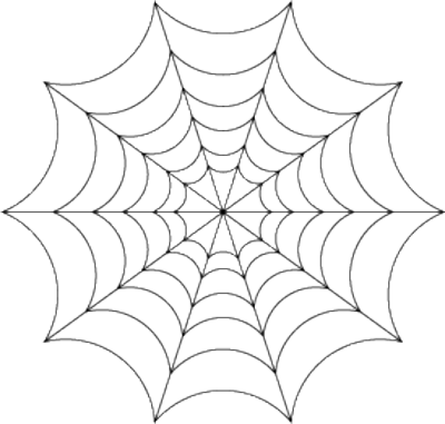 Transparent Spider Web