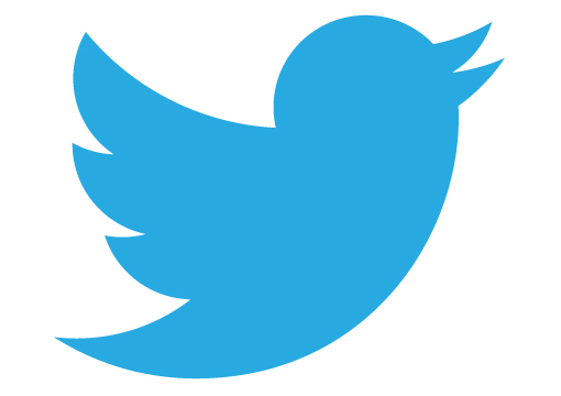 Twitter Bird Logo Icon Twitter Bird Logo Icon