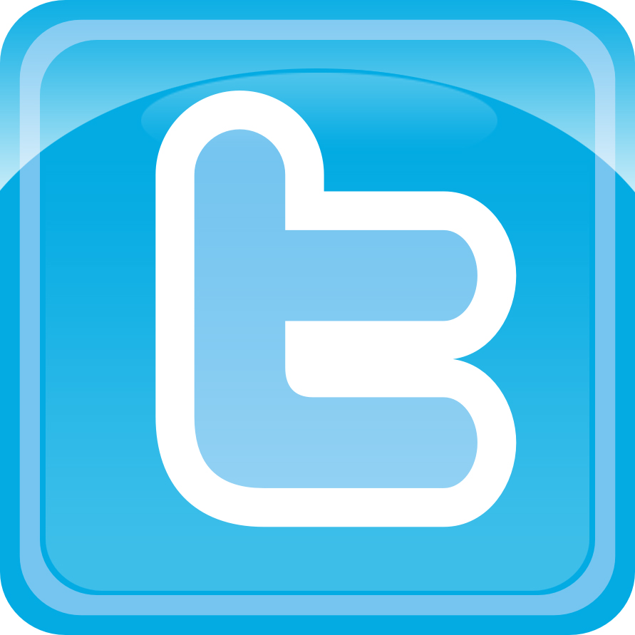 Twitter Icon Button