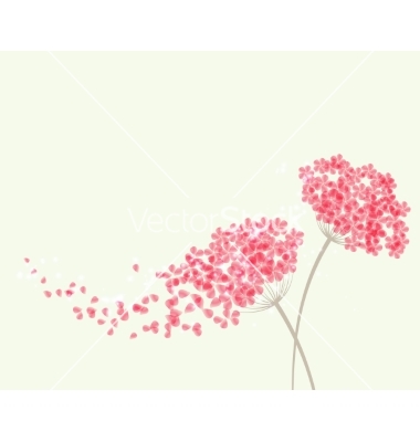Vector Hydrangea Flower