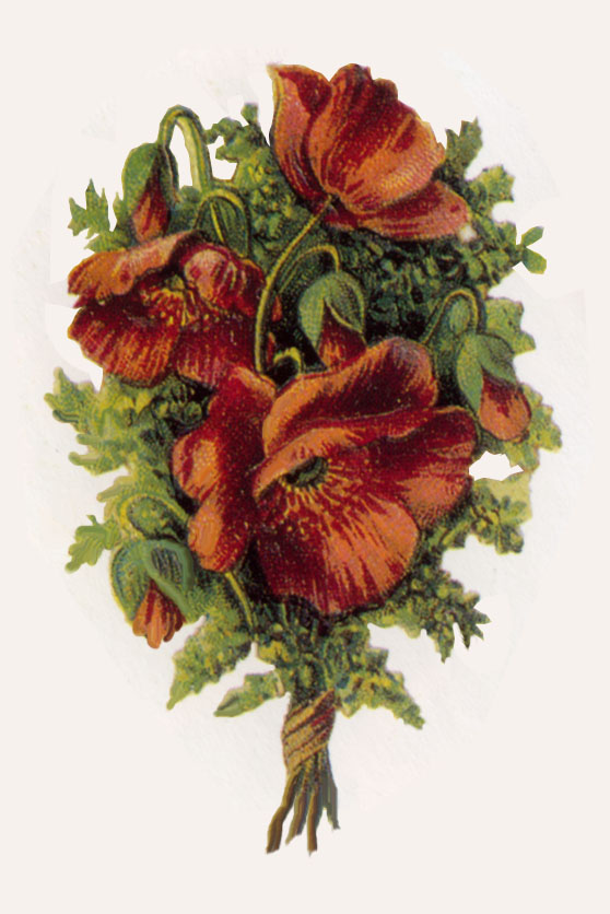 Vintage Floral Print Clip Art