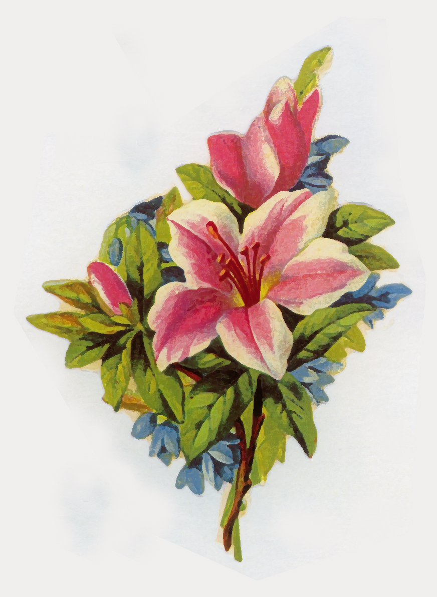 Vintage Flower Print Clip Art