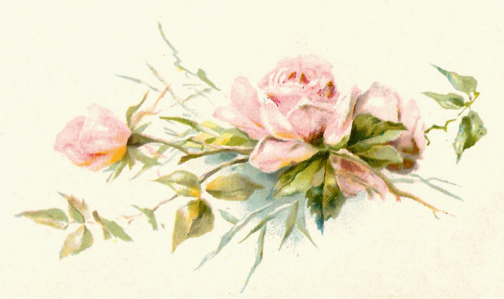 Vintage Pink Rose Clip Art Free