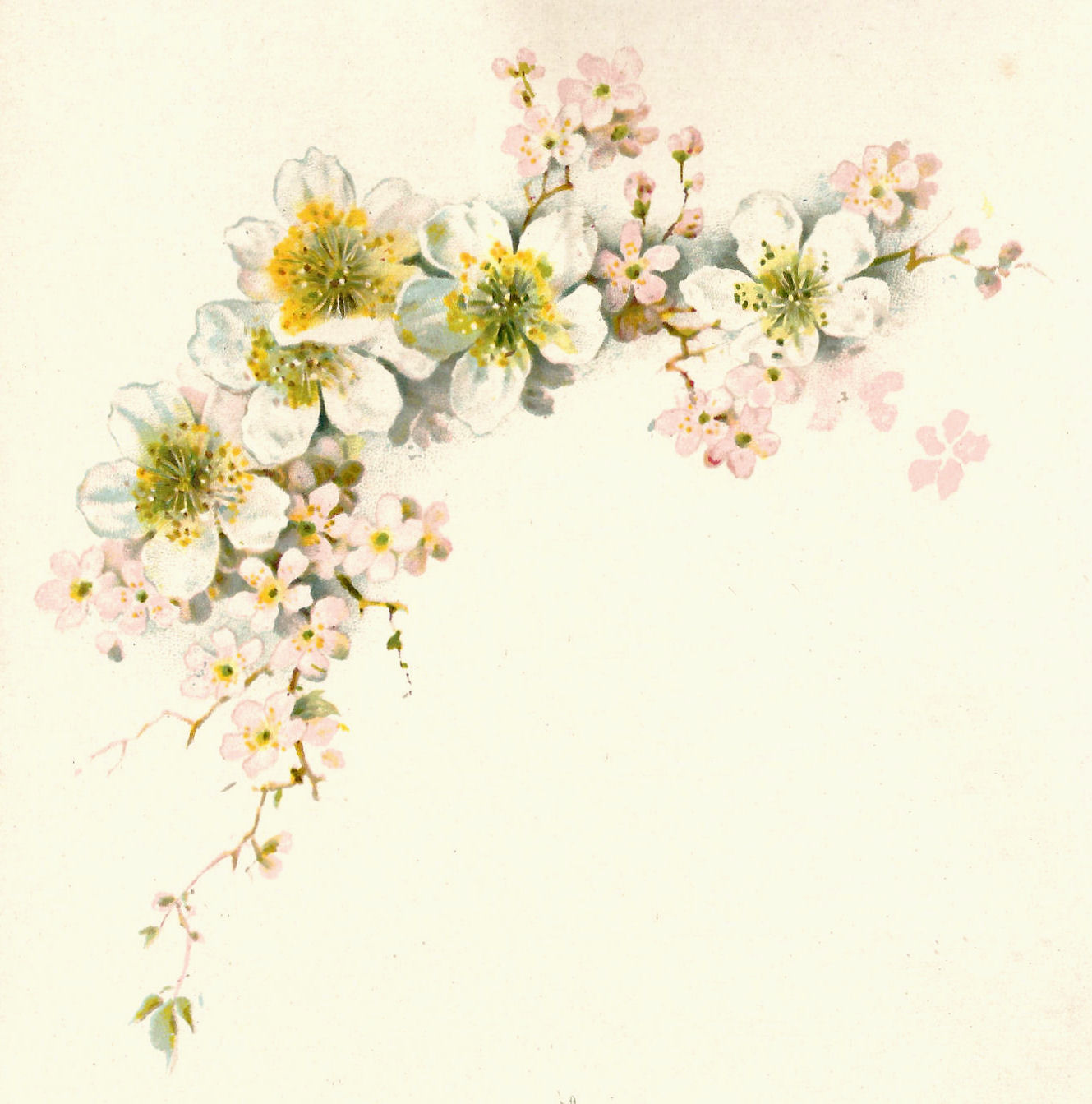 18 Vintage Flower Graphic Images