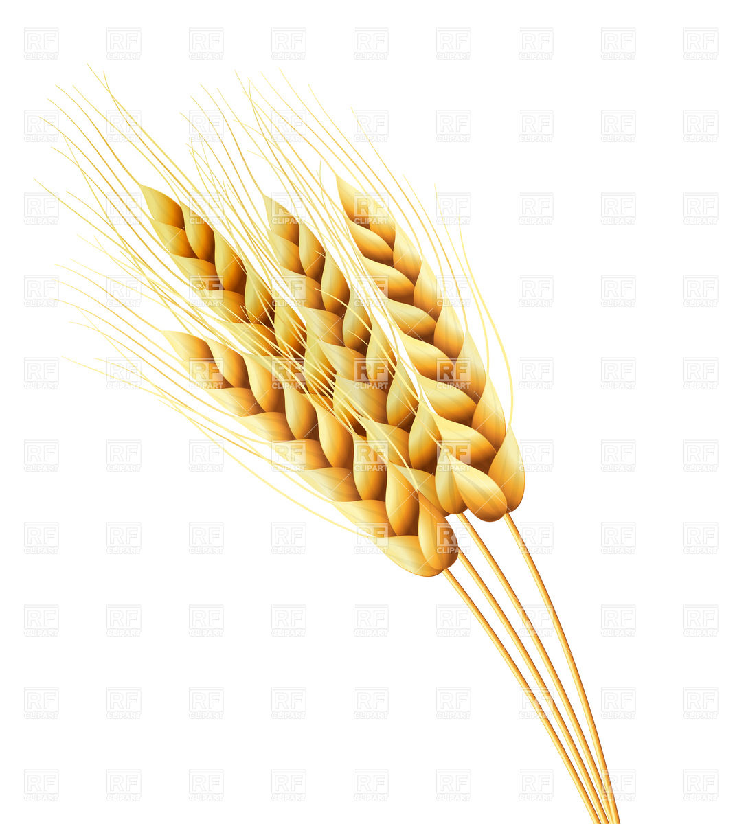 Wheat Clip Art Free