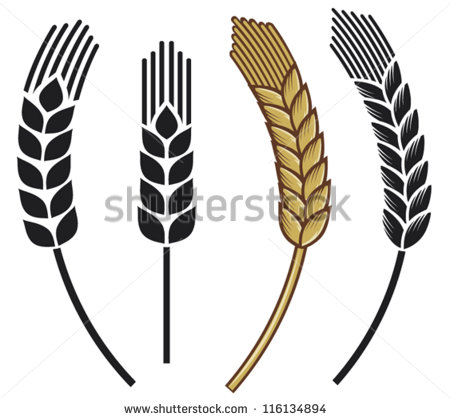 Wheat Ears Clip Art