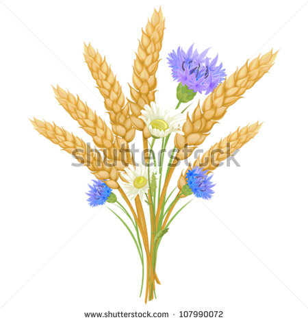 Wheat Stalk Clip Art