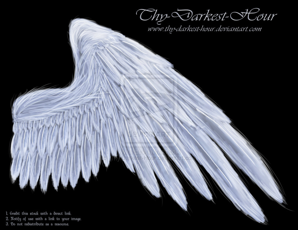 White Angel Wings Side View