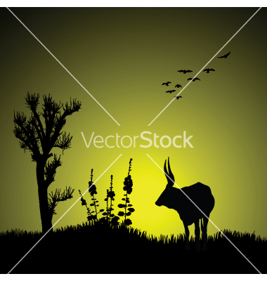 Wildlife Vector