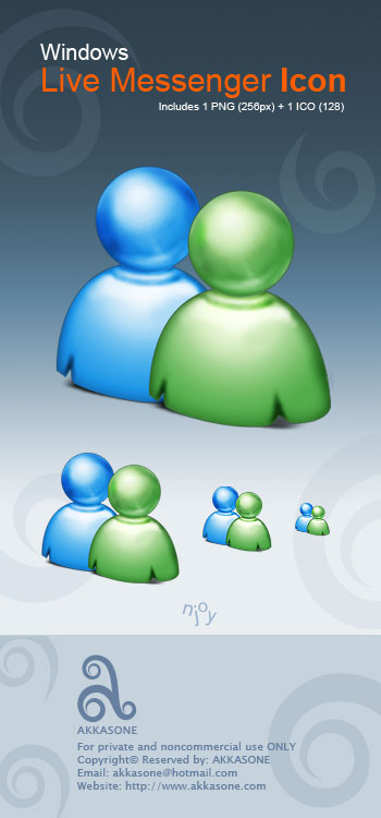 Windows Live Messenger Icon