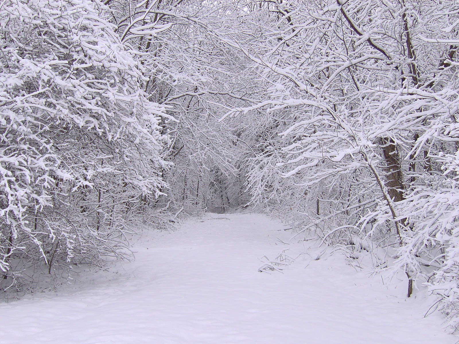 Winter Snow Scenes for Desktop Background Winter Snow Scenes for Desktop Background