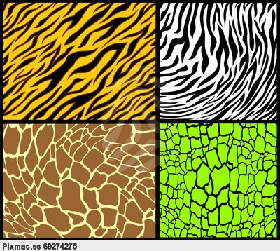 Animal Print Pattern