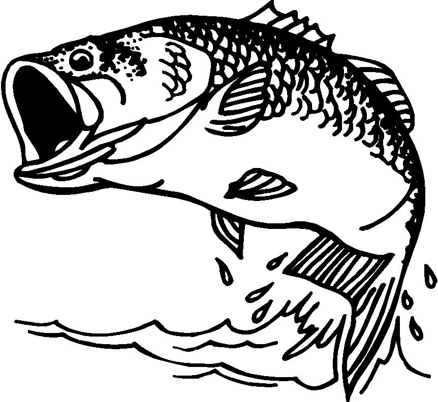 Bass Fish Vector Clip Art