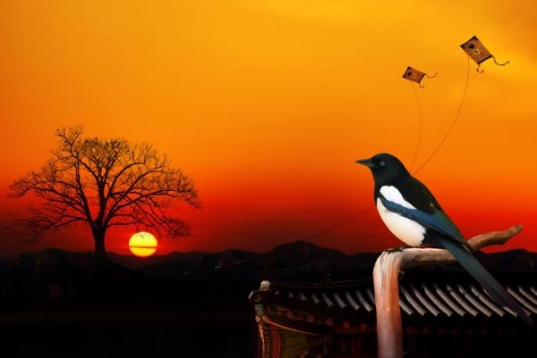 Bird Sunset