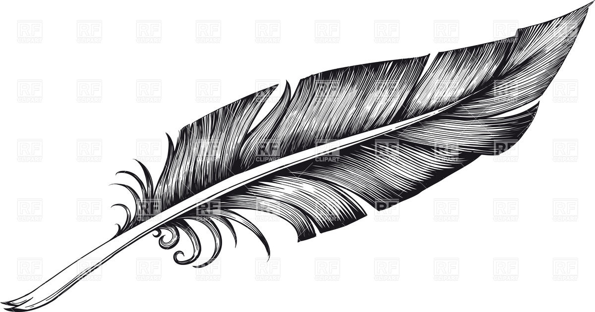 Black and White Feather Quill