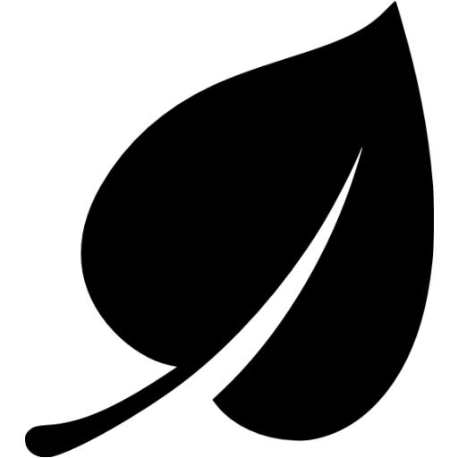 Black and White Leaf Icon