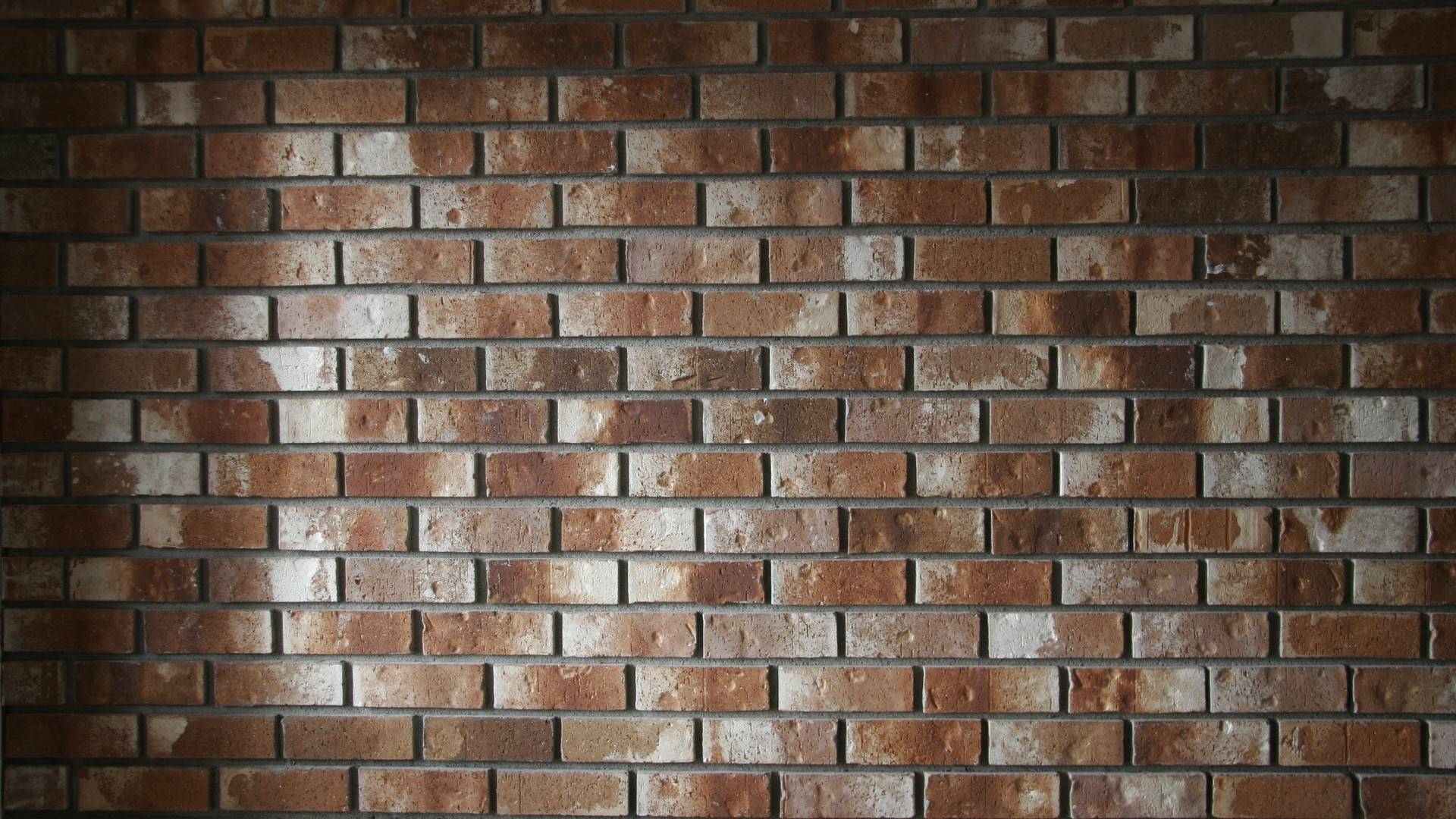 Brick Wall Texture Brick Wall Texture