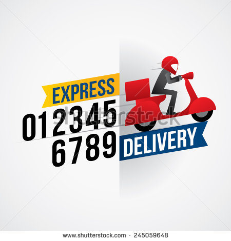 Courier Delivery Service Icon