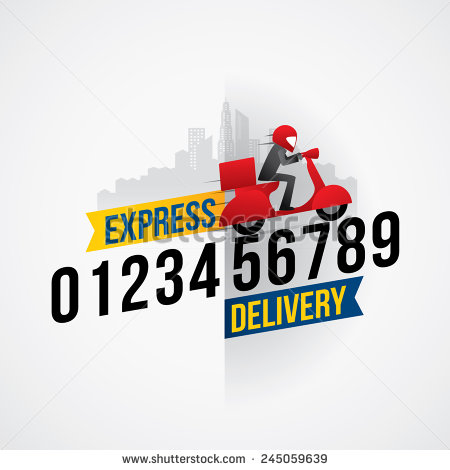 Courier Delivery Service Icon