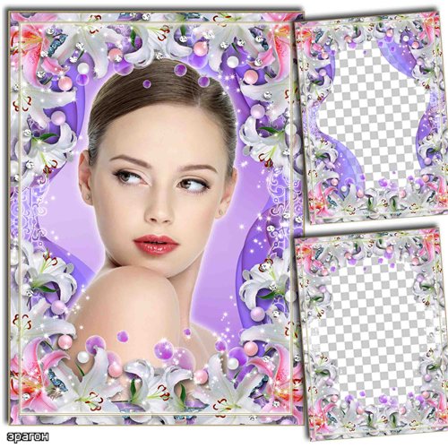 Free PSD Template Free PSD Template