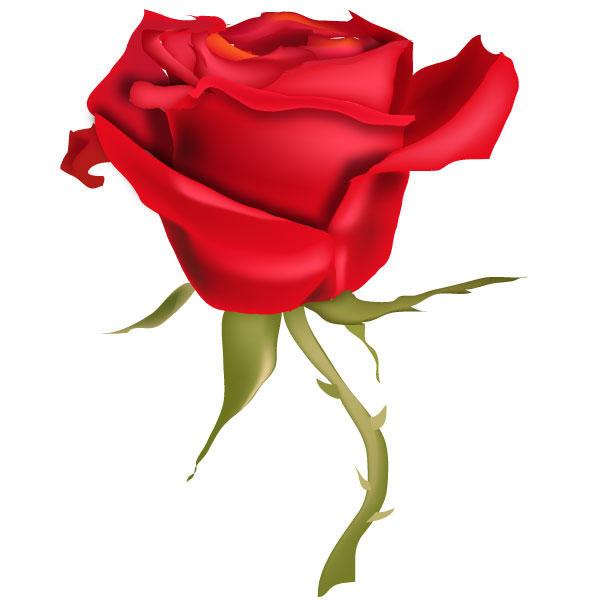 rose clipart vector - photo #17