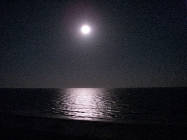 Full Moon Over Ocean at Night