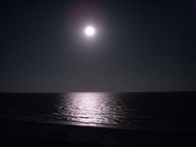 Full Moon Over Ocean at Night Full Moon Over Ocean at Night
