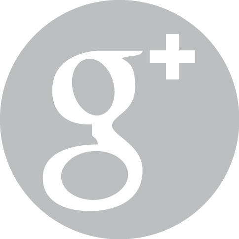 Gray Google Plus Logo