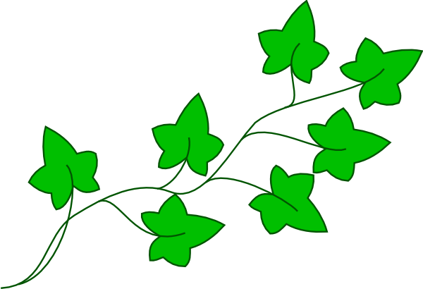 13 Ivy Vine Vector Art Images