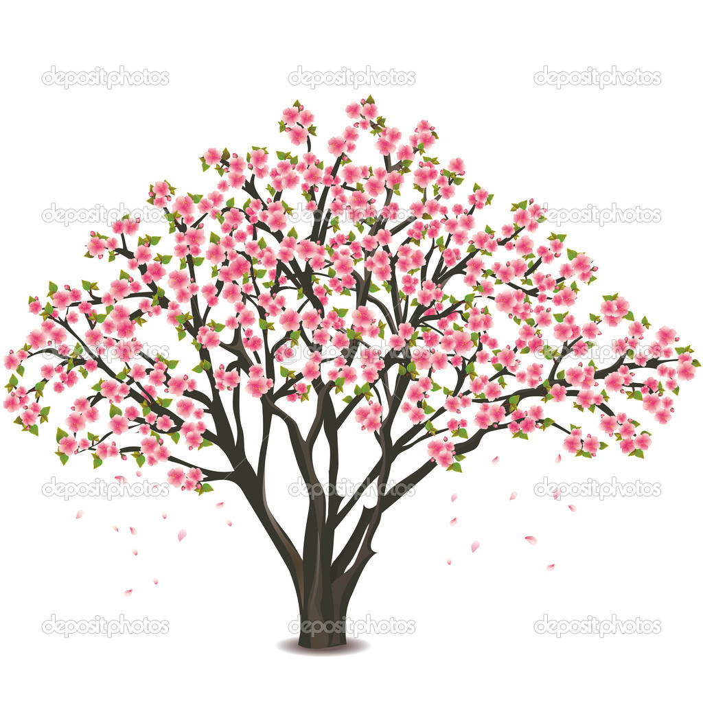 Japanese Cherry Blossom Tree Cartoon