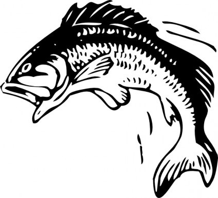 Jumping Fish Clip Art