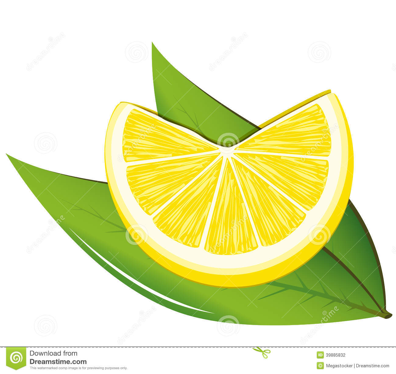 Lemon and Leaves Illustration