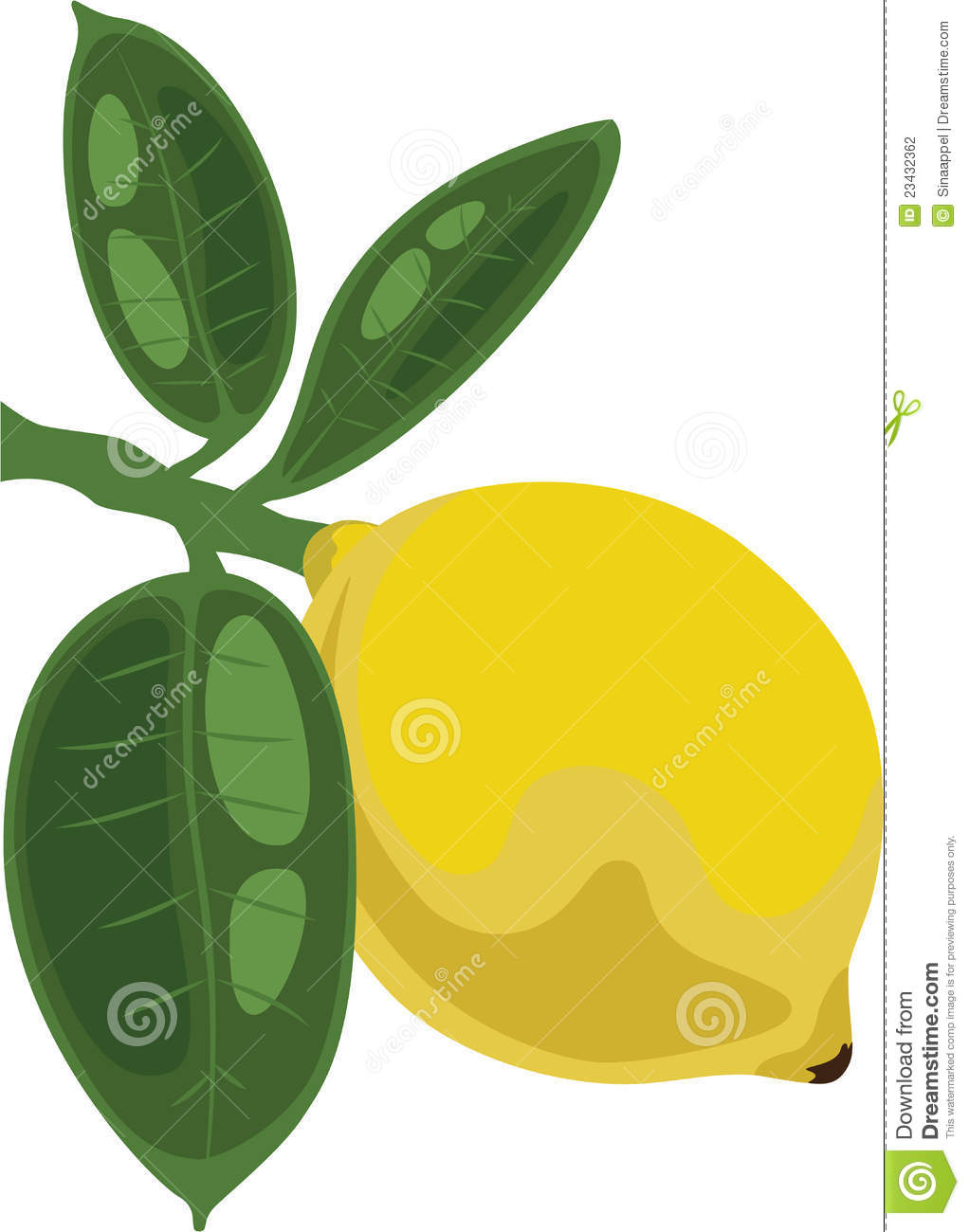Lemon Branch Illustration PNG