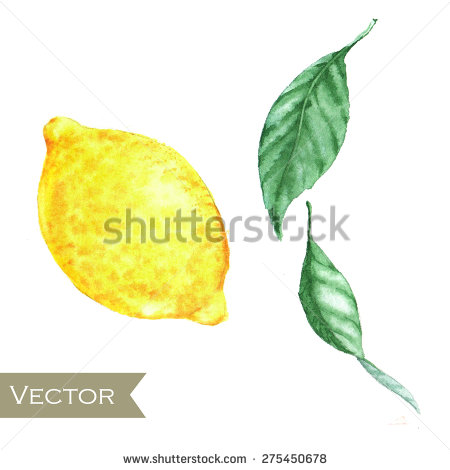 Lemon Leaf Clip Art