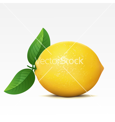 Lemon Vector