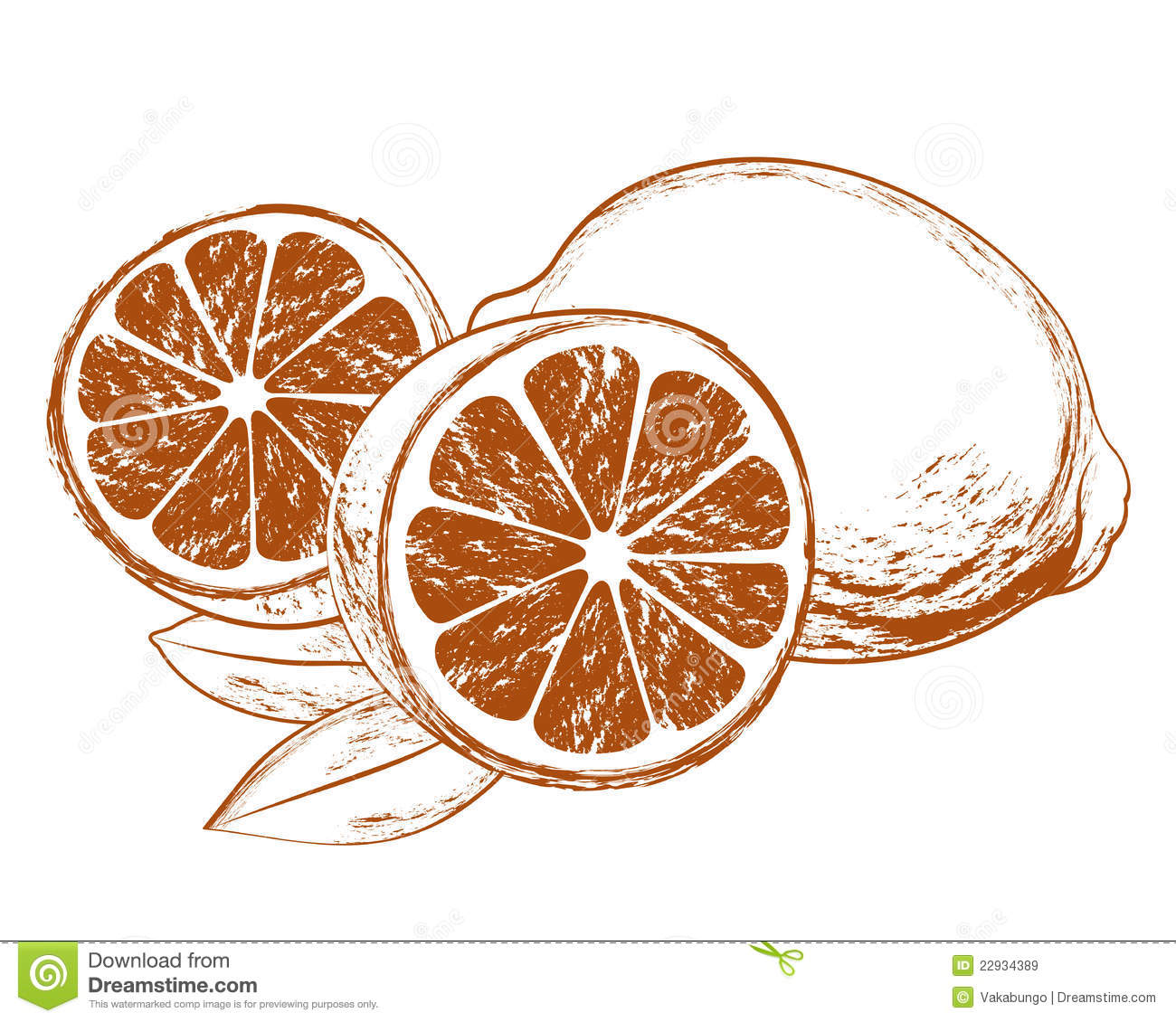 Lemons and Leaves Vector