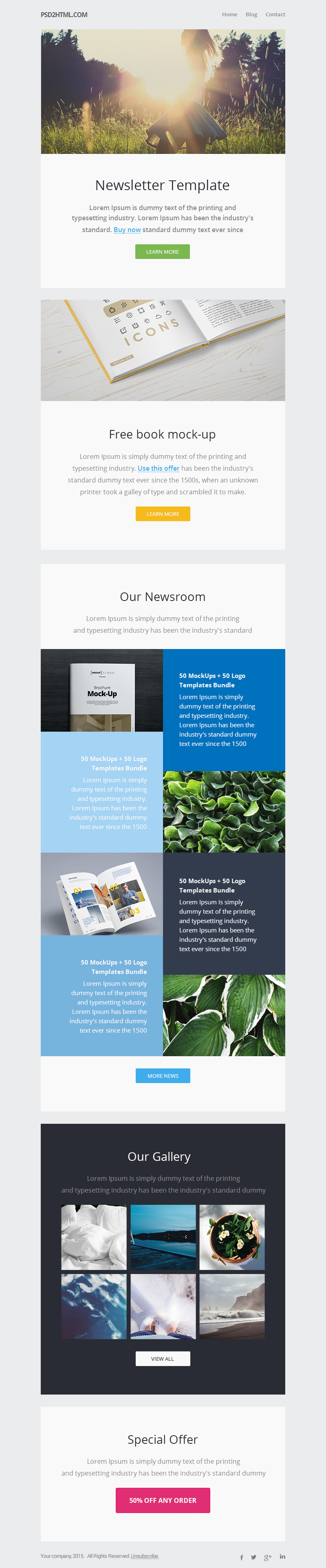 Newsletter Template PSD