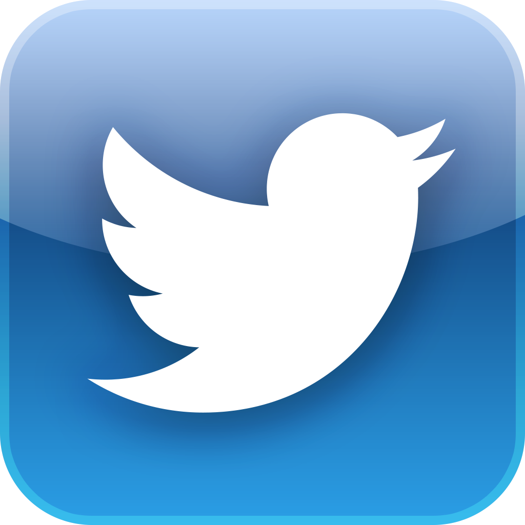Official Twitter Logo Icon