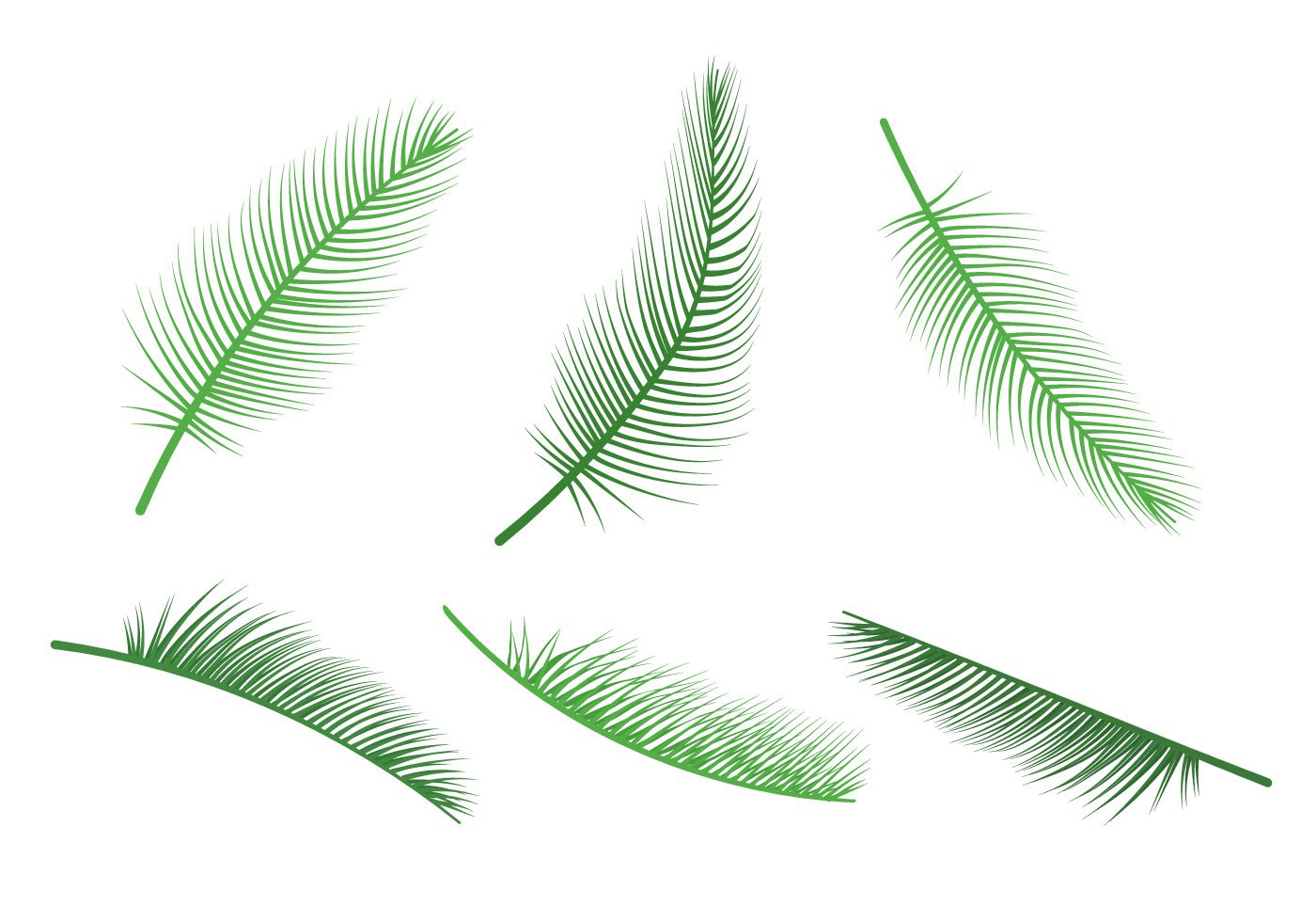 Palm Leaf Vector Free