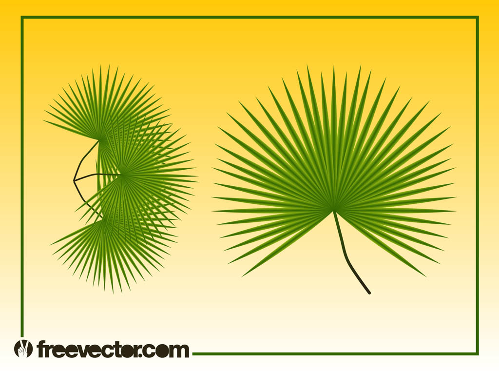 Palm Leaf Vector Free