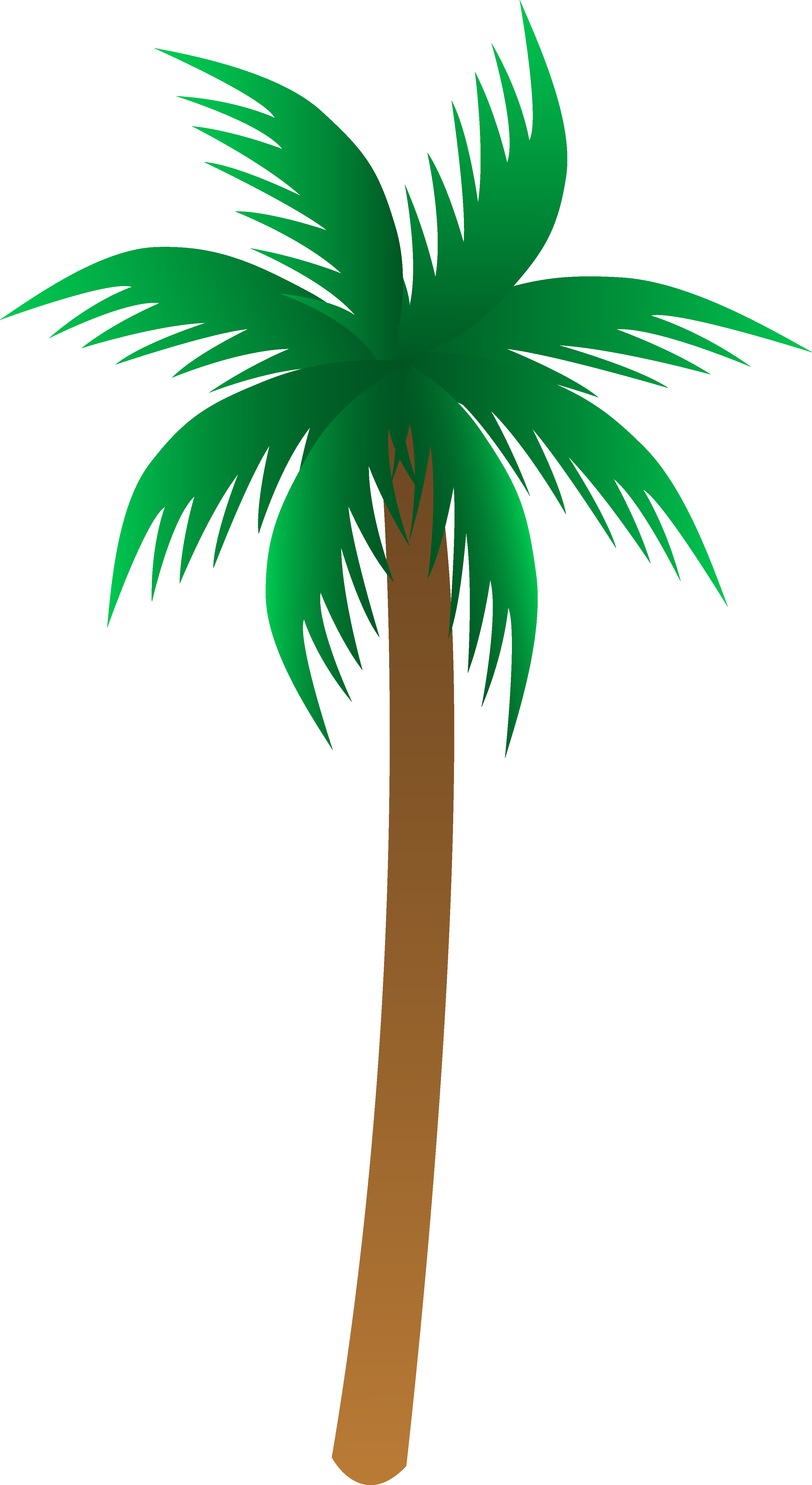 Palm Tree Drawings Clip Art