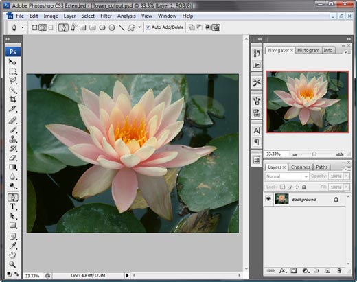 Photoshop Cut Out Tools Photoshop Cut Out Tools