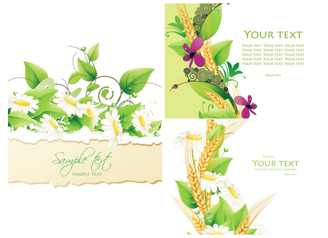 Summer Invitation Cards