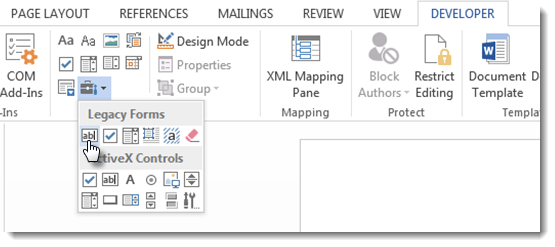 Text Form Field Word 2013