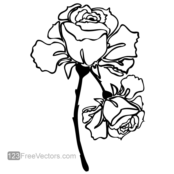 Vector Hand Drawn Rose