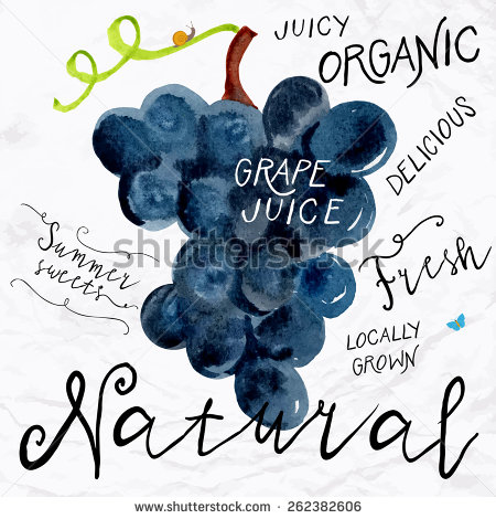 Vector Illustration Vector Illustration
